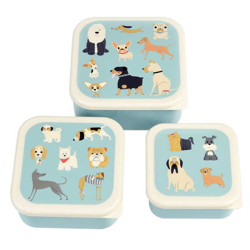 Rex Set of 3 Best In Show Snack Boxes