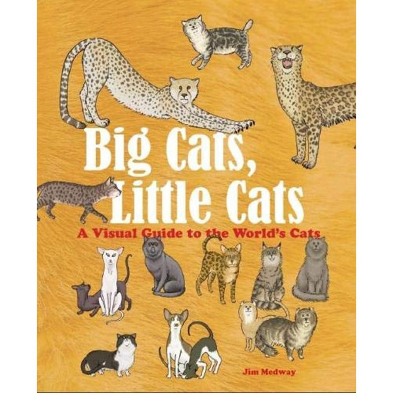 Big Cats, Little Cats: A Visual Guide To The World's Cats
