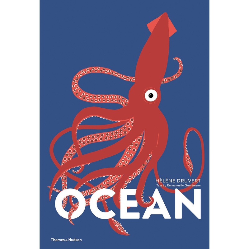 Oceans (Lift The Flap Book)