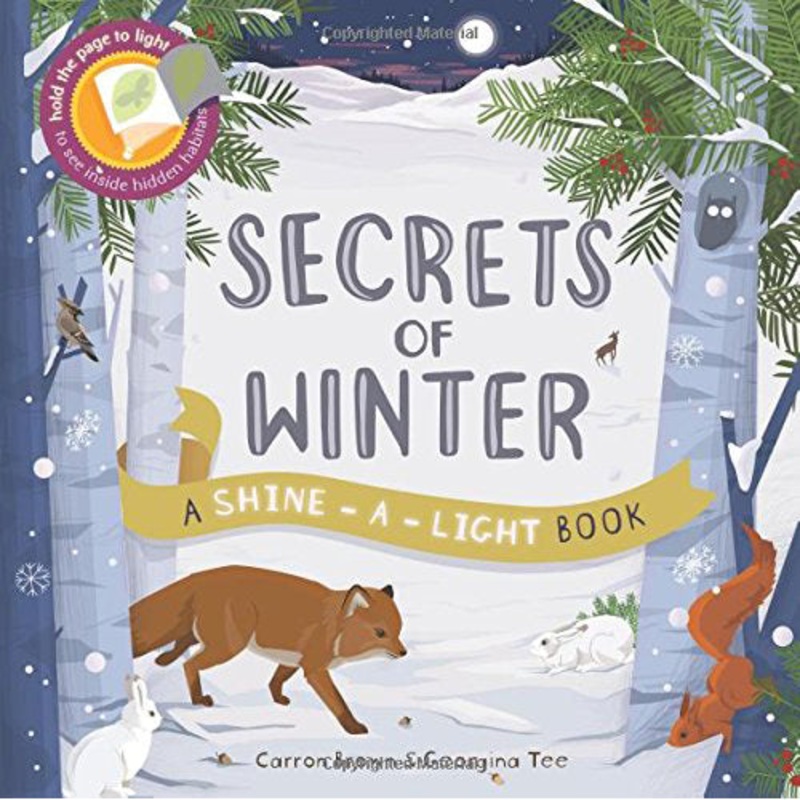 Secrets of Winter: A Shine-A-Light Book
