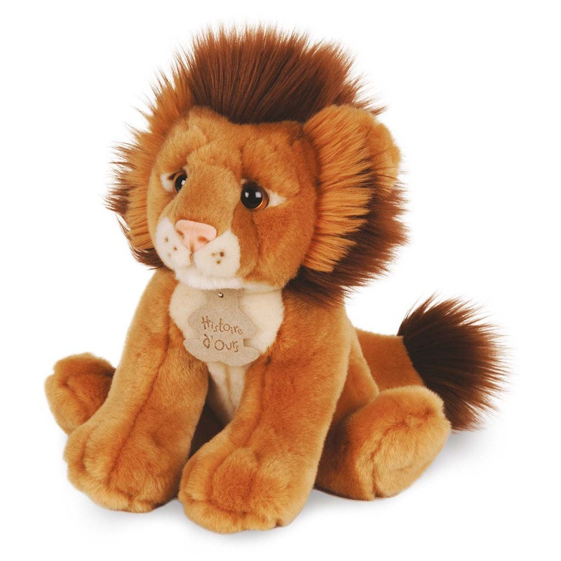 Histoire d'Ours Lion - The Authentic