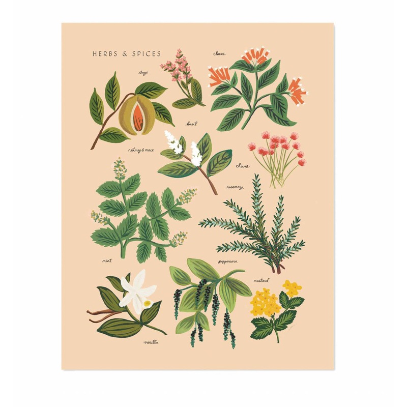 Rifle Paper Co Herbs & Spices Peach Print