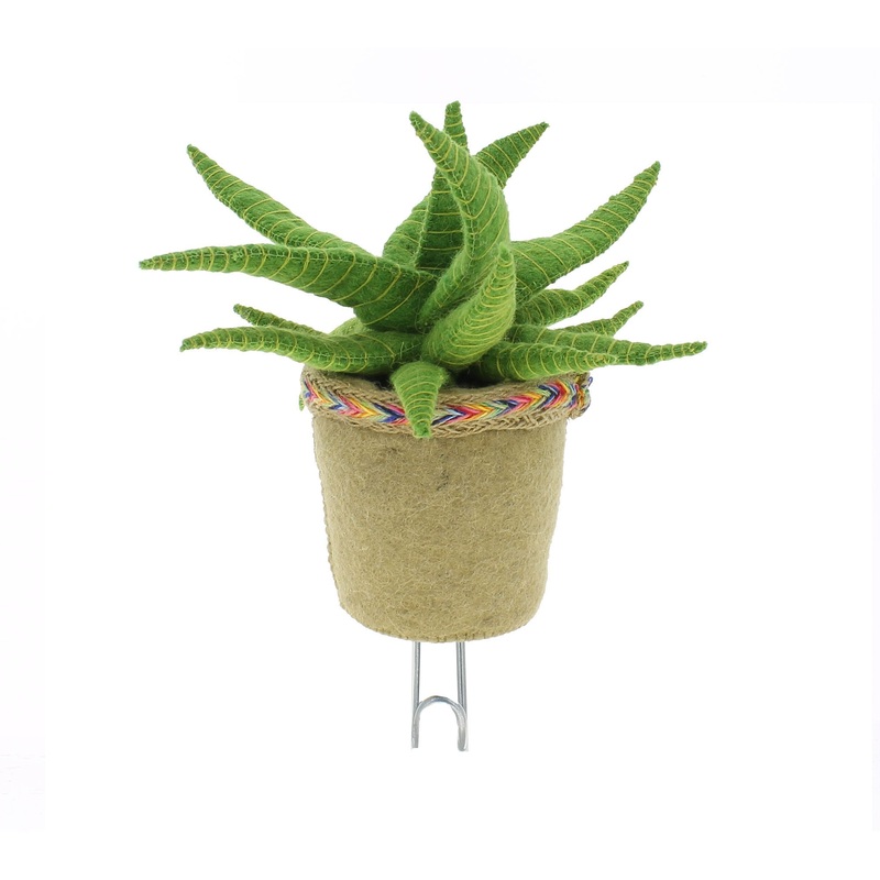 Fiona Walker England Aloe Vera Cactus Hook