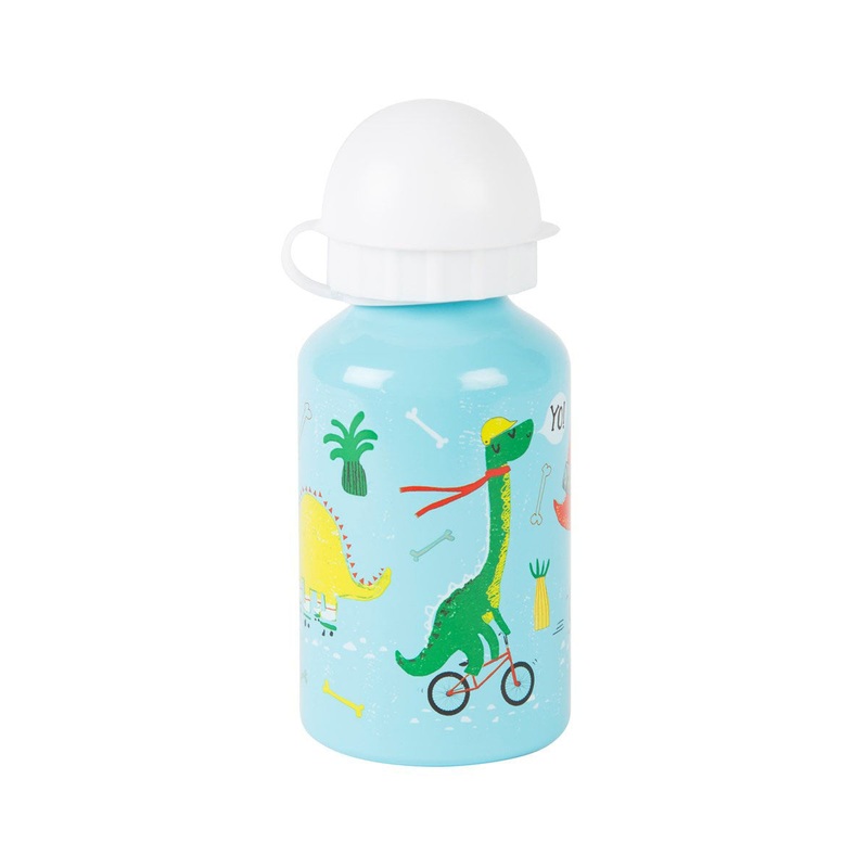 RJB Stone Dino Skate Park Water Bottle