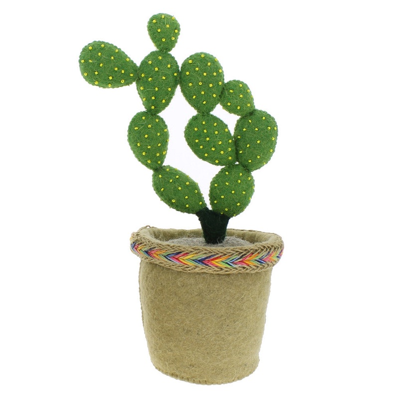 Fiona Walker England Linked Circle Cactus in Pot