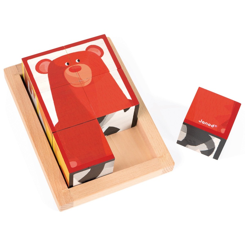 Janod 6 Forest Blocks in Wooden Box