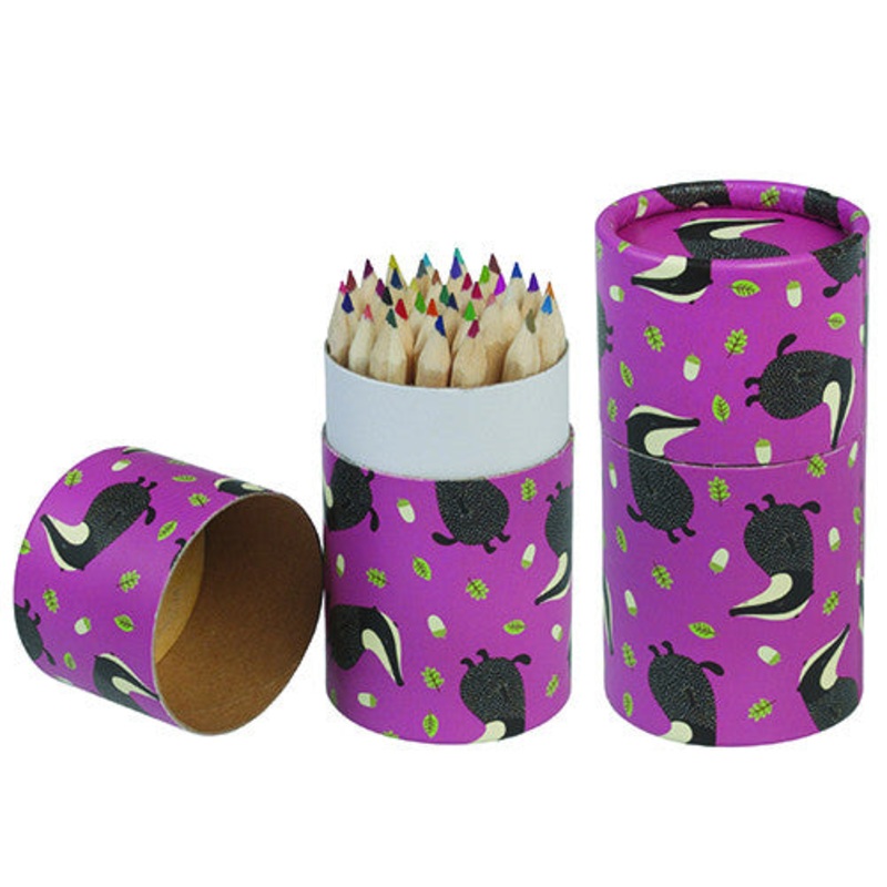 Rex Mr Badger Design 36 Colour Pencils