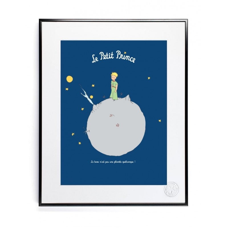 The Little Prince and Earth 30x40cm Art print