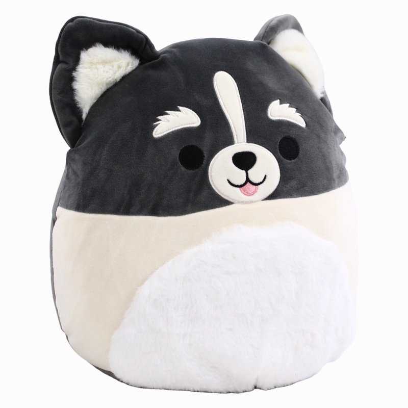 Squishmallows Buddy Squad Paolo the Pomsky