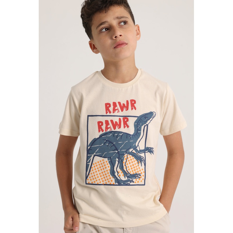Boys Short-Sleeved T-Shirt  Beige Dinosaur Rawr Rawr