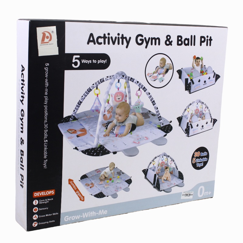 Activity Gym & Ball Pit