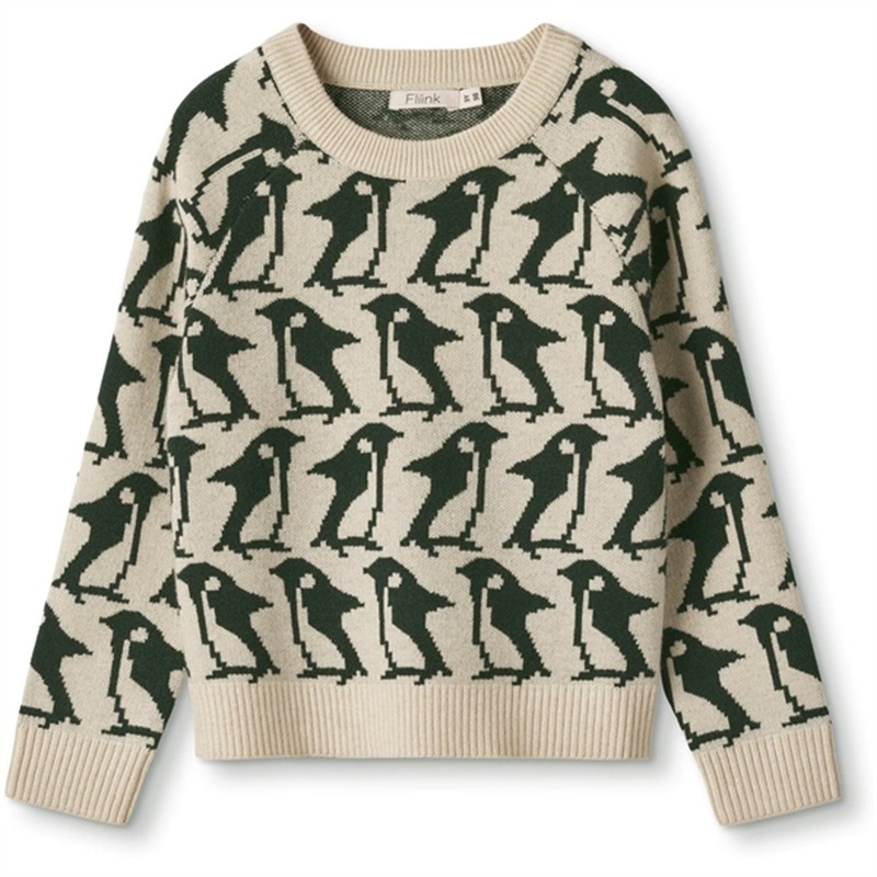 Fliink Sandshell\/Pinegrove Alon Pullover Pinguin