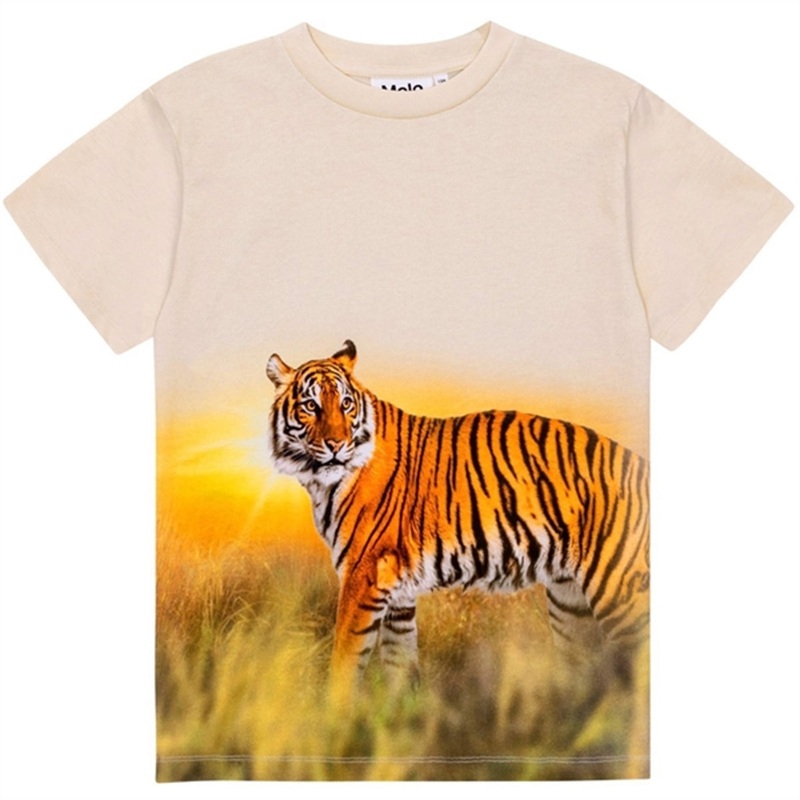 Molo Tiger Sand Roxo T-Shirt|2 y|3 y|4 y|5 y|6 y|7 y|8 y|10 y|12 y